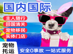 济南空运代理国际宠物托运 【国